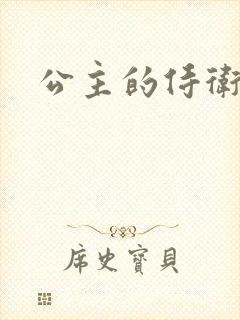 公主的侍卫封面