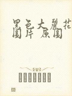 黑色大丽花真实图片 原图