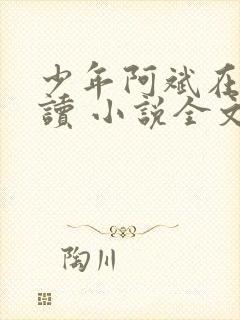 少年阿斌在线阅读 小说全文免费
