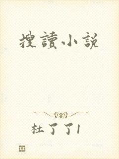 搜读小说