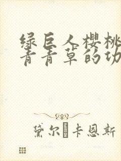 绿巨人樱桃荔枝青青草的功效