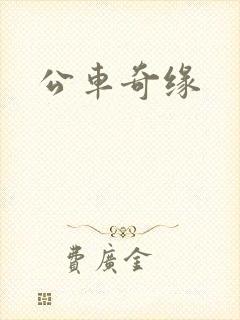 公车奇缘