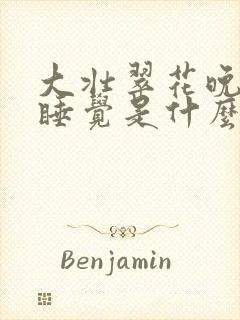 大壮翠花晚上不睡觉是什么电视剧