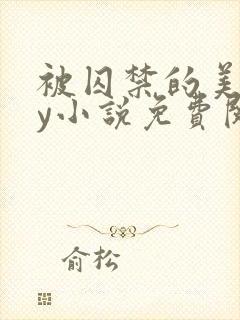 被囚禁的美人by小说免费阅读