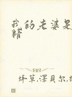 我的老婆是狐狸精