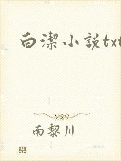 白洁小说txt