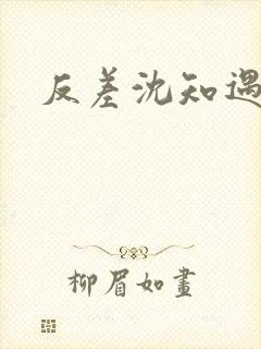 反差沈知遇晏应