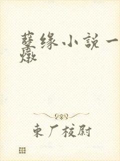 孽缘小说一家乱炖封面