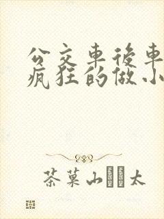 公交车后车座的疯狂的做小