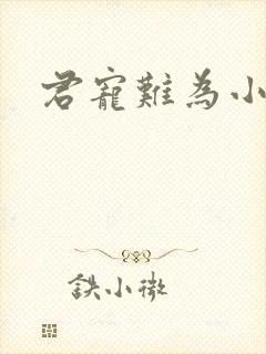 君宠难为小说封面