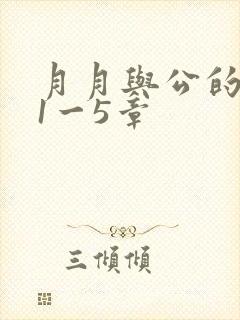 月月与公的激情1一5章