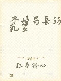 贵妇局长的蕾丝乳罩