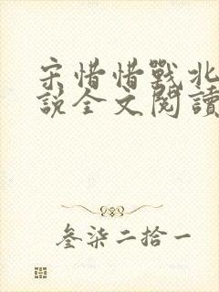 宋惜惜战北望小说全文阅读