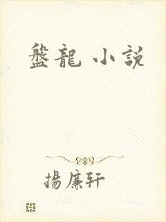 盘龙 小说