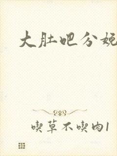 大肚吧分娩小说封面