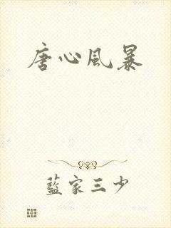 唐心风暴封面