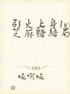 引火上身1v1芝麻糖结局封面