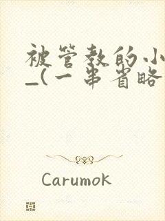 被管教的小美人_(一串省略号)封面