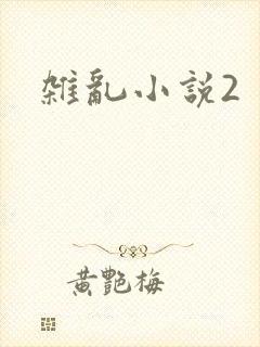 杂乱小说2