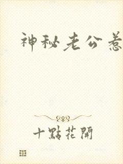 神秘老公惹不起