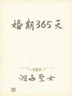 婚期365天封面