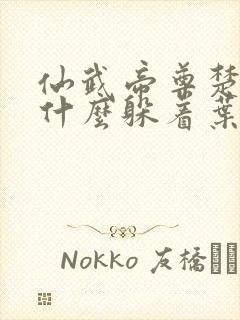 仙武帝尊楚萱为什么躲着叶辰