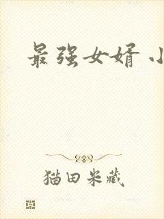 最强女婿 小说