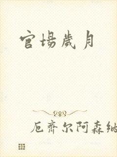 官场岁月封面