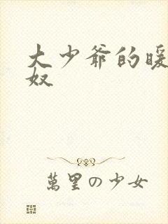 大少爷的暖床小奴