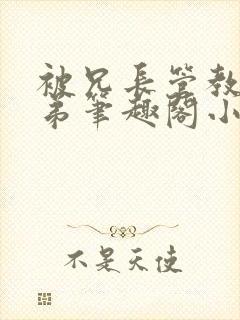 被兄长管教的弟弟笔趣阁小说封面