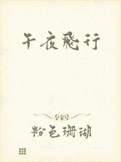 午夜飞行