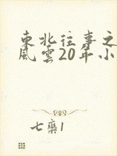 东北往事之黑道风云20年小说