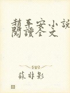 赵平安小说免费阅读全文