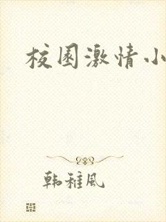 校园激情小说封面