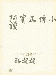 阿宾正传小说在读