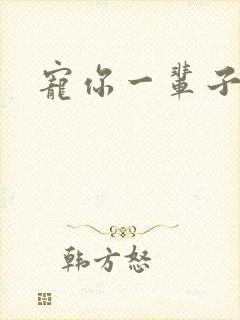 宠你一辈子封面