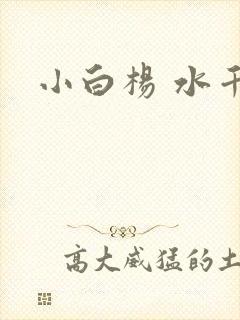 小白杨 水千丞封面