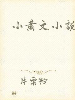 小黄文小说