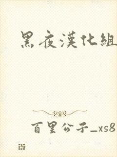 黑夜汉化组