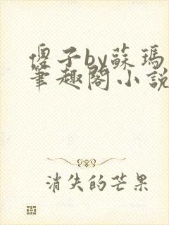 傻子by苏玛丽笔趣阁小说