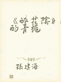 《醉花阴》by酌青栀