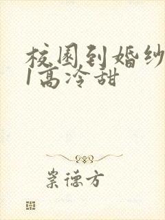 校园到婚纱1V1高冷甜