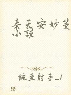 秦天安妙菱修仙小说