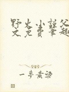 野火小说父女全文免费笔趣阁