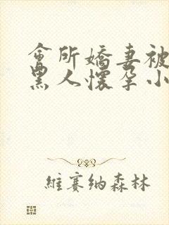 会所娇妻被多个黑人怀孕小说封面