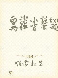 白洁小说txt无弹窗笔趣阁封面