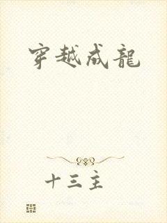 穿越成龙