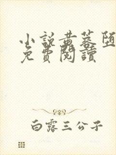 小说黄蓉堕落记免费阅读封面