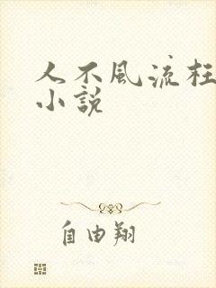 人不风流枉少年小说
