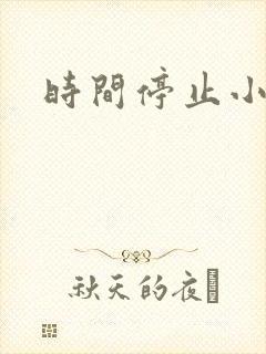 时间停止小说封面